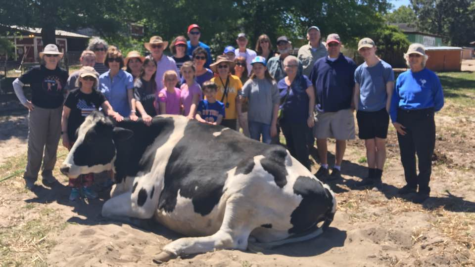 Cotton Branch Animal Sanctuary trip