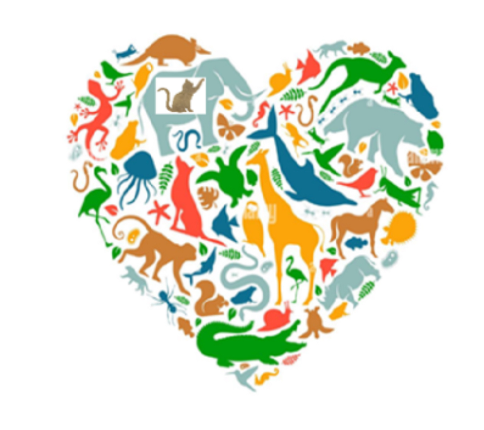 Animals “R” Us